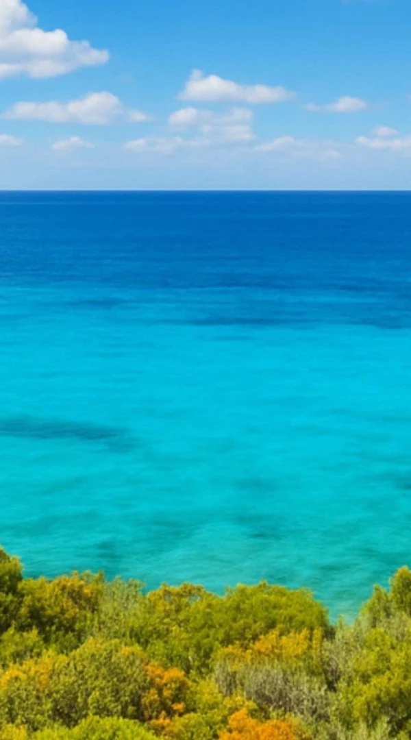 Transfer Hotel Sighientu