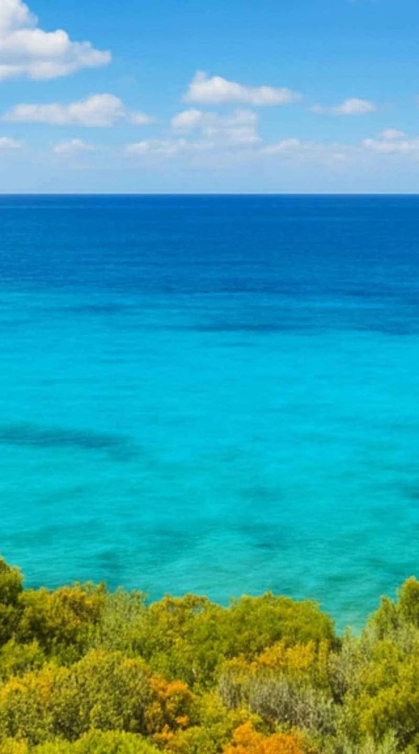 Transfer Sardegna